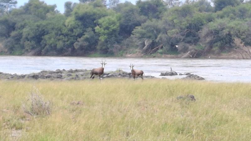 0 Bedroom Property for Sale in Bothaville Free State